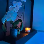 Apartment Love Room *