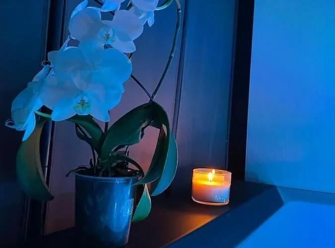 Apartment Love Room *